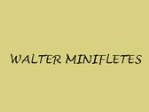 Logo Walter Minifletes
