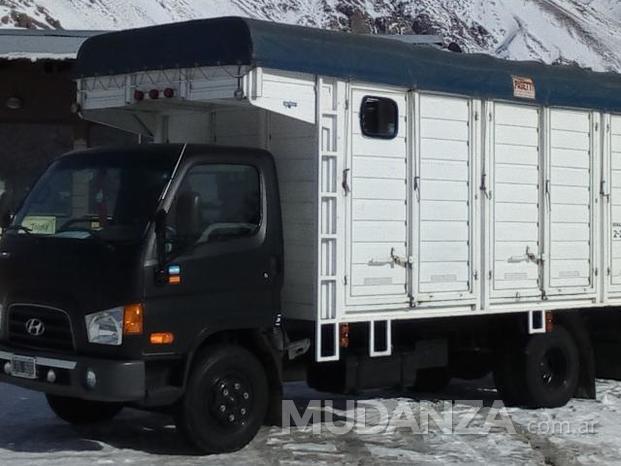 camion nieve.jpg