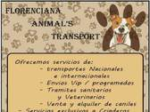 Florenciana transporte de mascotas