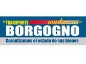 Mudanzas Borgogno