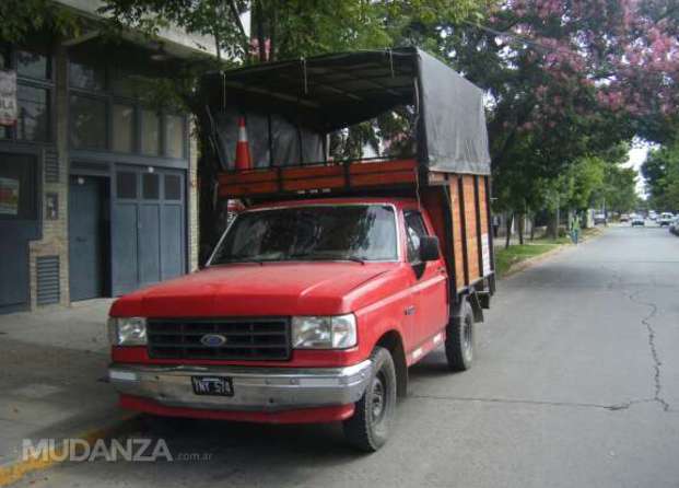 Ford F 100