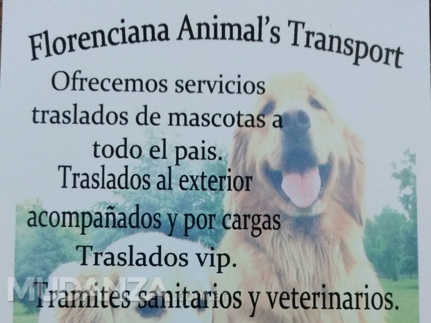 Traslados aéreos terrestres y marítimos de mascotas