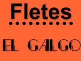 Fletes El Galgo